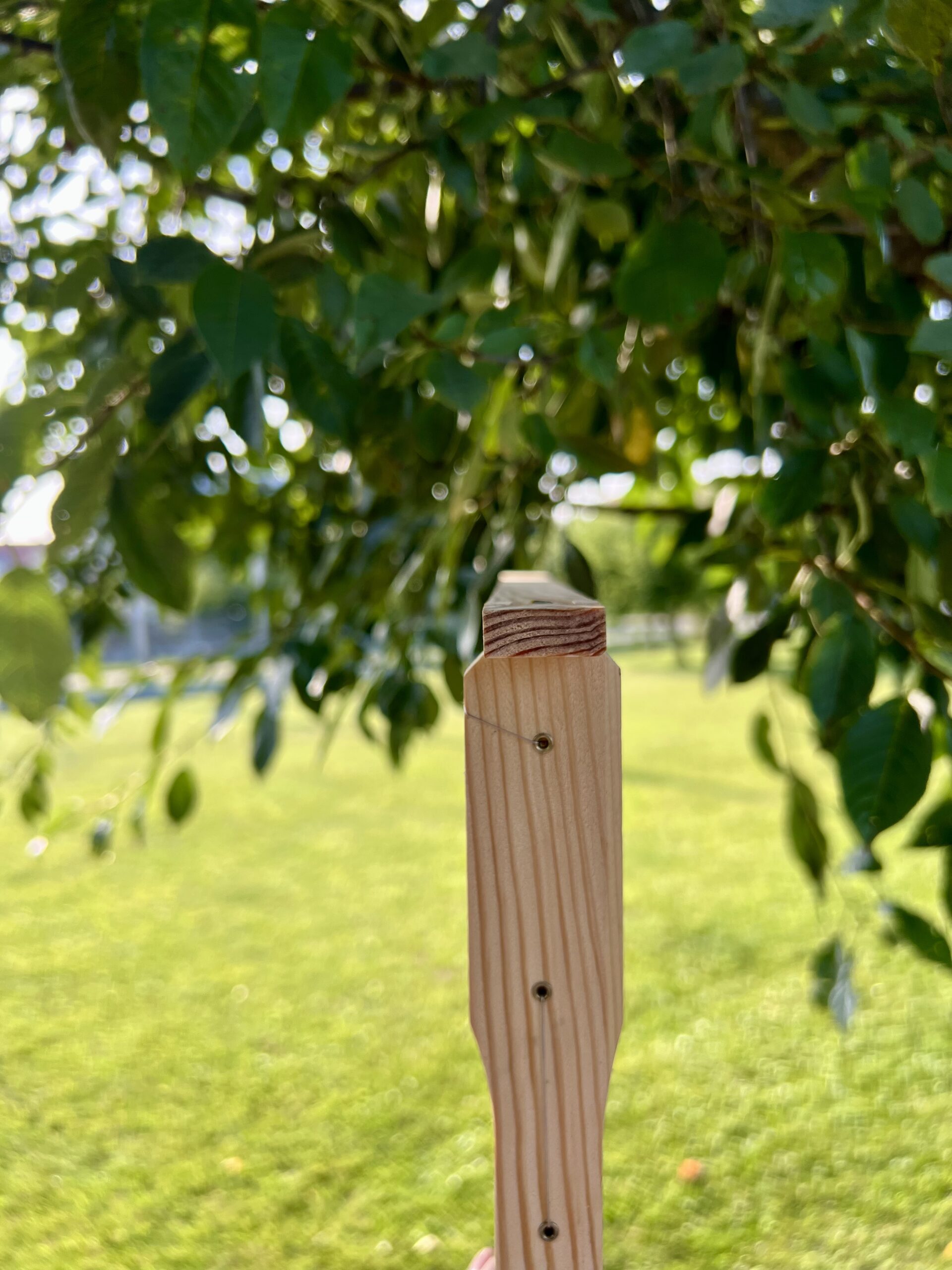 Рамка Рута 230 - Зображення 6