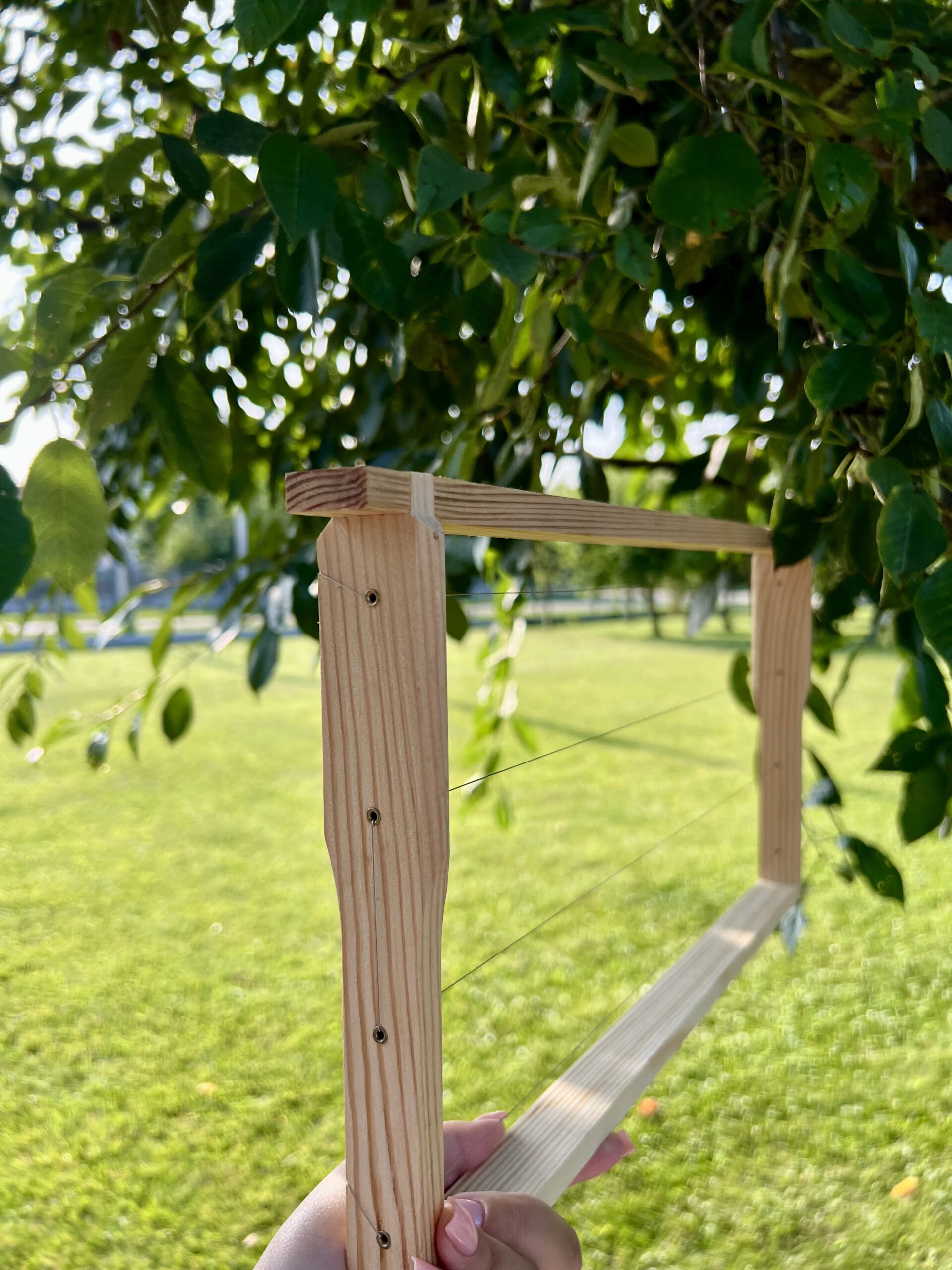 Рамка Рута 230