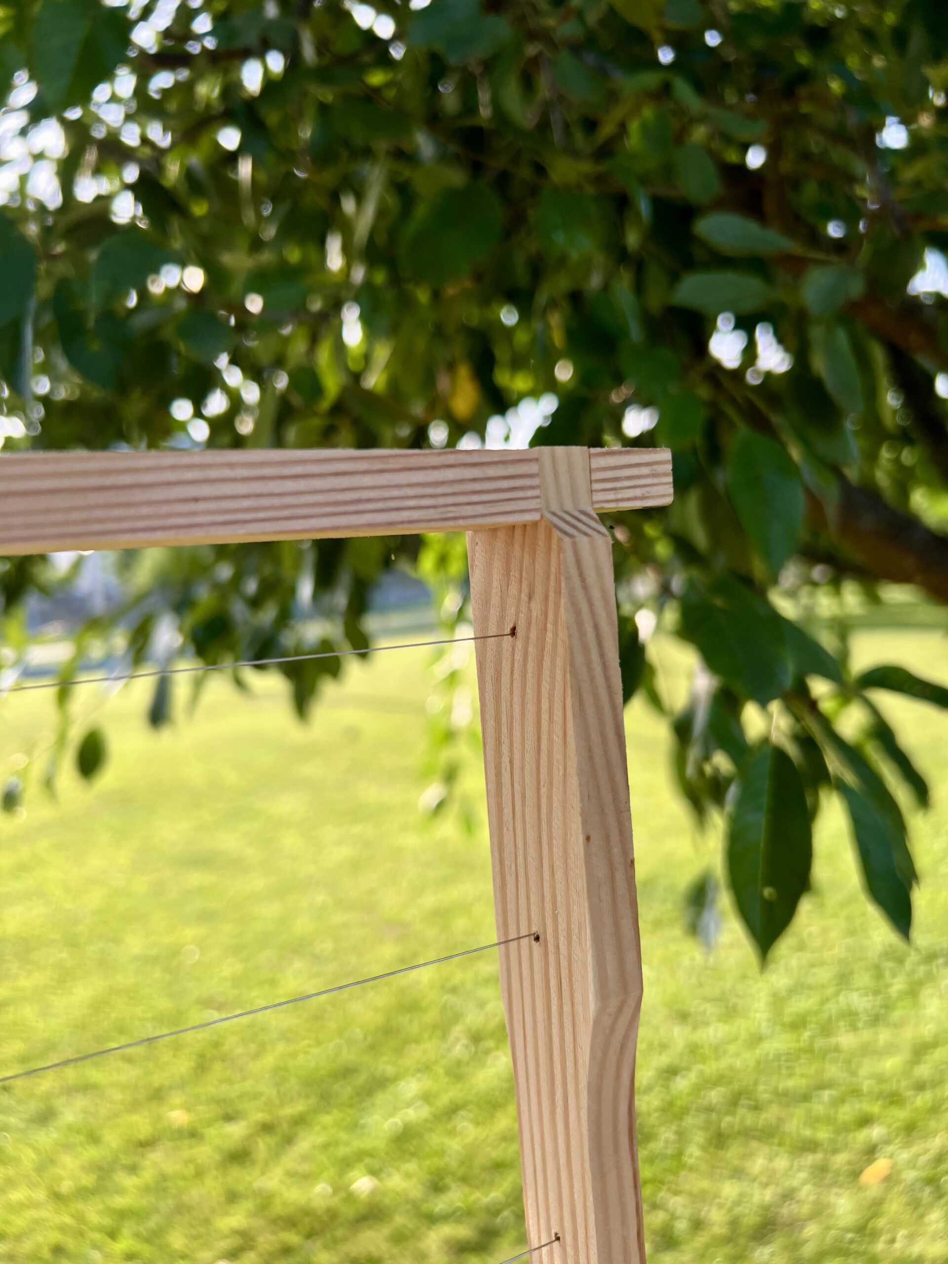 Рамка Рута 230 - Зображення 3