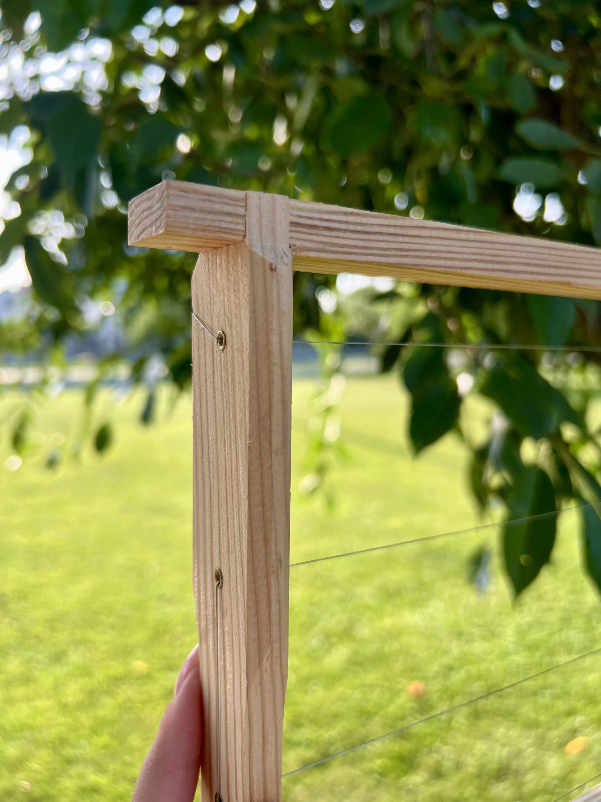 Рамка Рута 230 - Зображення 4