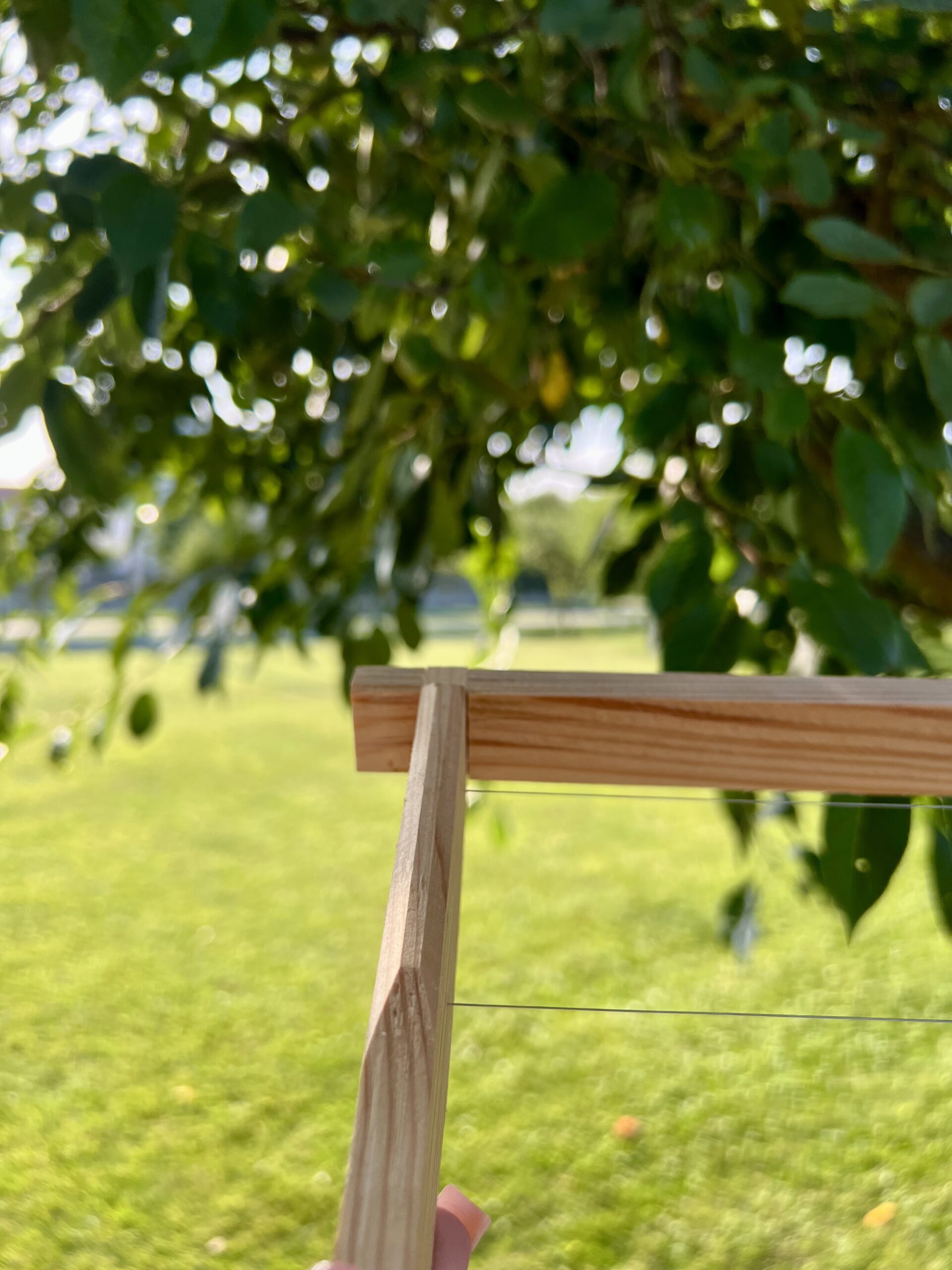 Рамка Рута 230 - Зображення 5